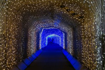 "Tunnel of Light", terowongan dengan tiga warna pencahayaan yang berbeda.