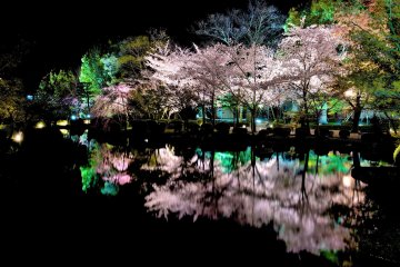 Reflections over a lake
