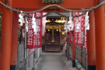 Kaiuninarisha