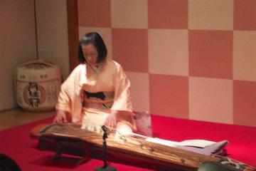 Playing the koto