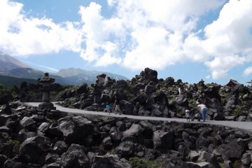 <p>A path around the rocks</p>