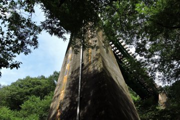 Looking up through the leaves at the rail bridge