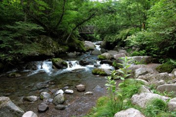 A bridge spans the Kawamata river