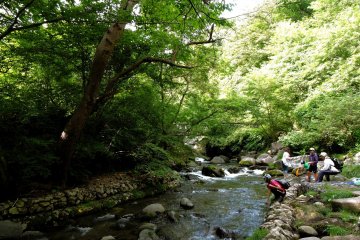 How about a summer picnic here?