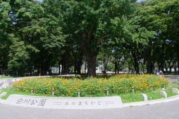 Welcome!