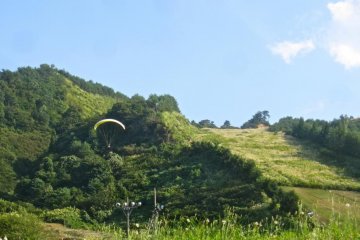 An advanced student swoops in for a landing after taking off from the top of Tainai