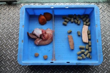 This box of food is for you to feed the animals around the park. 