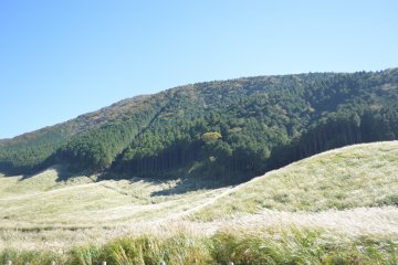 ทุ่งหญ้าแพมพัสแห่ง Sengokukogen