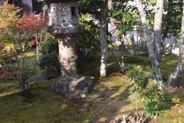 Une lanterne entourée de verdure