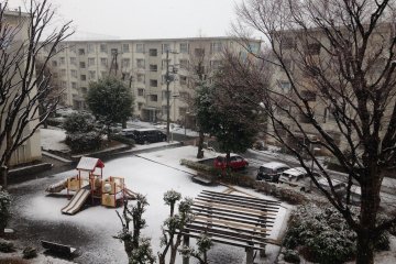 The first snowfall in January 2015 at Hamura Danchi in Fujimidaira