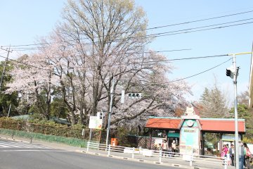 Hamura's famous Doubutsu Koen (Zoo), just a 25-minute walk from Hamura Station