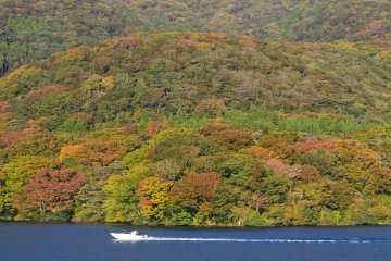 Warna-warni daun di sekitar danau pada bulan Oktober