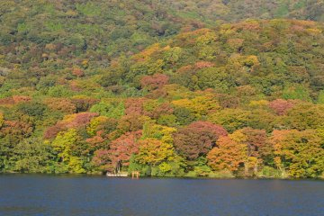 Torii merah menuju Hakone Jinja Shrine