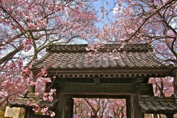 The gate to the hon-maru on the far side of the Ou-Un-Kyo