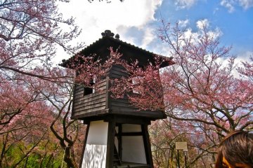 This rebuilt turret is one of the only reminders that this was once a castle