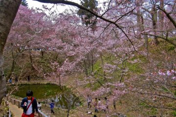 The pond near the Ou-Un-Kyo