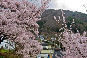 Looking north near the Takato-Cho Art and History Museum