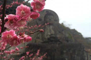 Le Daibutsu derrière les fleurs