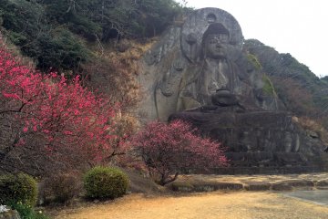 Le Daibutsu n'est qu'une partie de Nokogiriyama