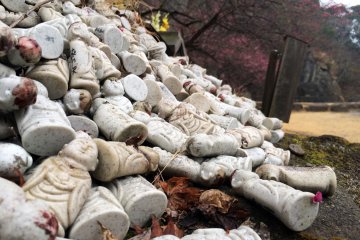 De petites statues couvrent une partie du sol devant le Boudha