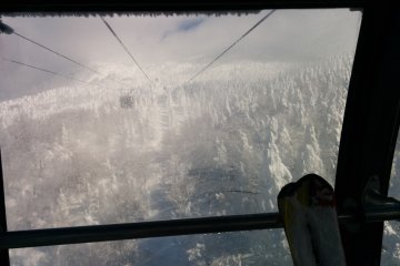 Going up the cramped lift, hungry monsters eye passengers from below