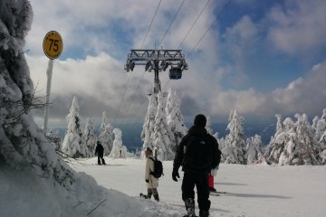 The ski course down is clearly marked by yellow numbered signs. Or just follow the ski lif cables down
