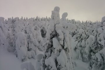 Light and dark changes every minute as clouds, wind, and cold rule the very top of the mountain