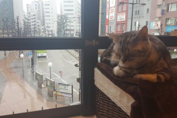 비오는 날엔...