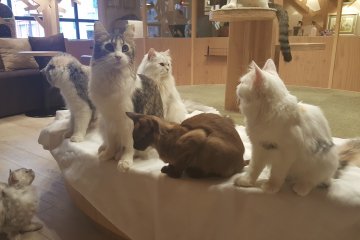간식시간