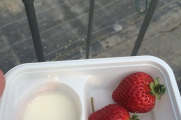 Susu kental manis yang bisa dipakai untuk mencelupkan stroberi
