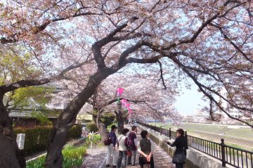 Yokohama, Rumahku