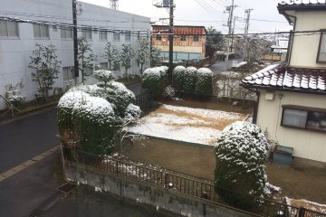 A light dusting of snow around 7 a.m.