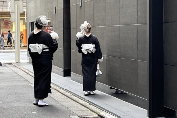Seeing double in Kyo