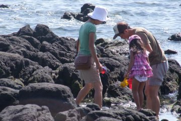 Enjoying the beach