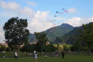 Go Fly A Kite