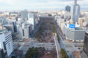 Odori from observation deck