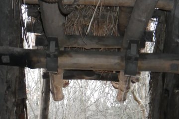 Jomon-style door