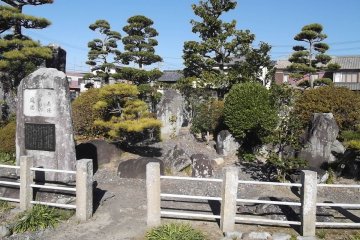 Cloud trees in the temple's small garden