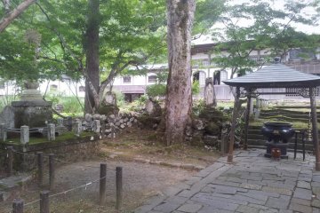 Plenty to see in the grounds.
