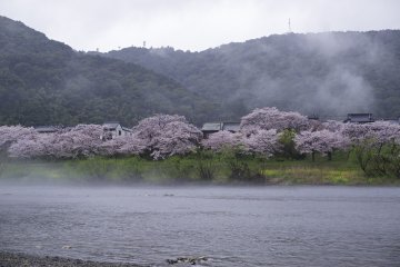 A little bit of mist with the rain