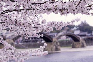 Kintai Bridge in the background