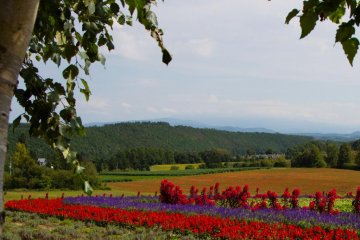 You can walk around the farm as long as you like—for free