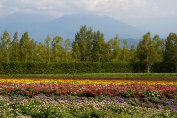 On a clear day you can see the Tokachi mountain range too—what a great scenery!