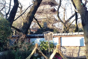 Di bawah bayangan pagoda