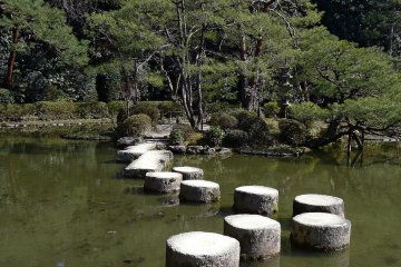 The Middle Garden