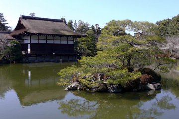 Tranquil beauty