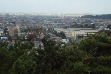 The view from the park's watchtower.