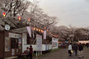 The park is a popular place for festivals and viewing cherry blossoms.