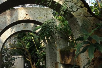 Inside the Rose Hat`s tropical garden. Arches are  Ohya stone -- quarried 5 kilometers down the road