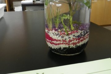 This particular weekend offered a chance to create this water-weed garden in a jar (¥500). The workshop was held in a well-appointed lab